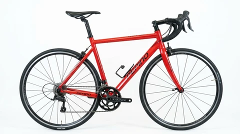 PEPINO XM 31